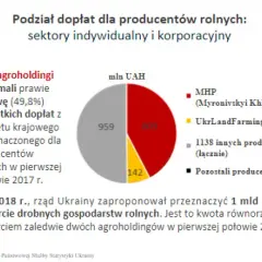 Kto uprawia ziemię na Ukrainie? Zaskakujące fakty o właścicielach