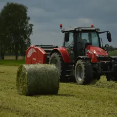 Do kiedy siać poplon arimr - uniknij błędów w siewie!
