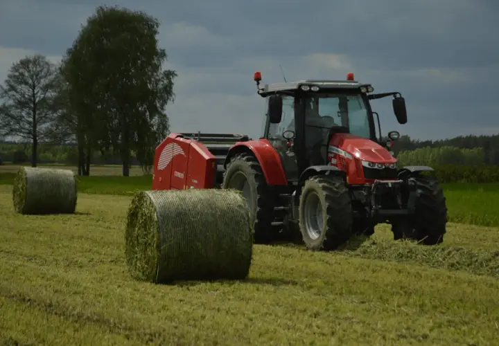 Do kiedy siać poplon arimr - uniknij błędów w siewie!