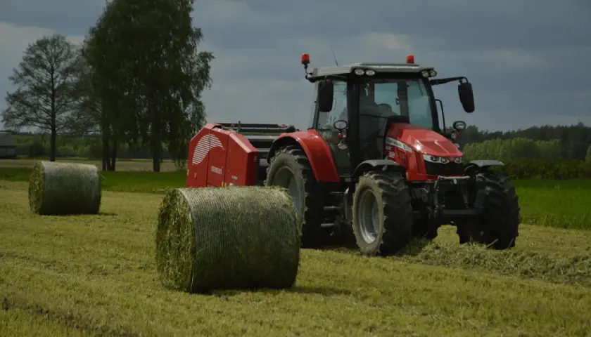Do kiedy siać poplon arimr - uniknij błędów w siewie!