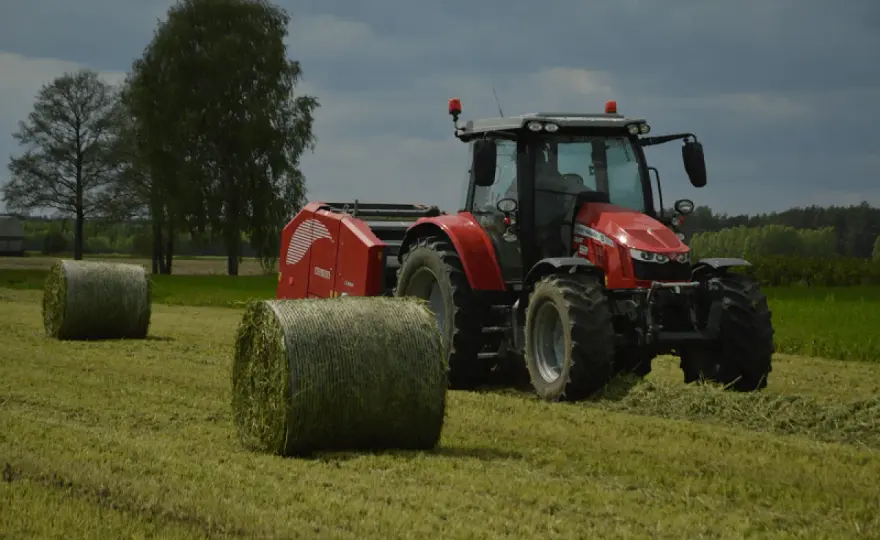 Do kiedy siać poplon arimr - uniknij błędów w siewie!